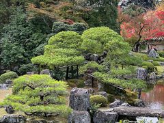 -醍醐寺