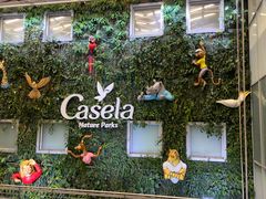 -西沃古尔·拉姆古兰爵士国际机场