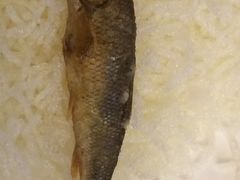 -神憩宾馆-餐厅