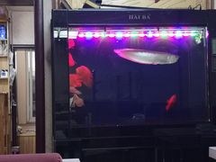 景观位-万鑫鸡翅