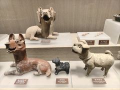 -中国农业博物馆
