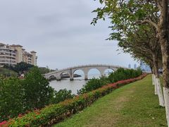 -万绿园