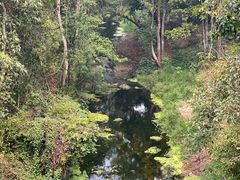 -野象谷景区