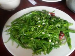 炒海菜-苍洱春饭店