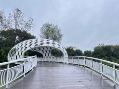 -同里国家湿地公园