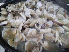 -顺德哥卜卜贝(旗舰店)