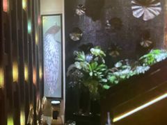 -素可汤泉(天宝大厦店)