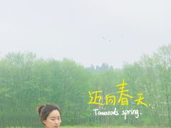-天长牛肉火锅