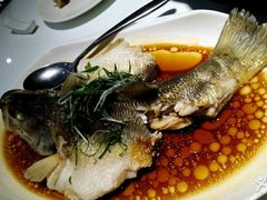 -至潮餐厅精致粤菜·活鲈鱼·走地鸡(珠江新城店)