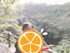 -海口火山口国家地质公园