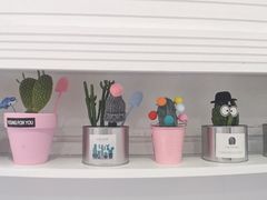 -BABYDOG宝贝狗宠物乐园(欧洲城店)