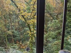 -润泽天·湘味家宴(岳麓山店)