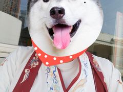 -叁拾壹丨浮世绘x壹拾叁沉浸演绎剧场