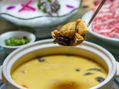 -金龙·打边炉(南京西路店)