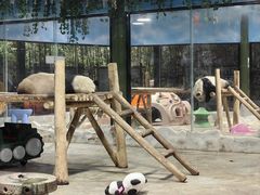 -栾川竹海野生动物园