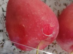 -烹然四季椰子鸡火锅(姚家园万象汇店)