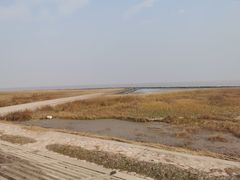 -南汇嘴观海公园