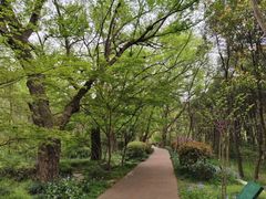 -紫金山山顶公园