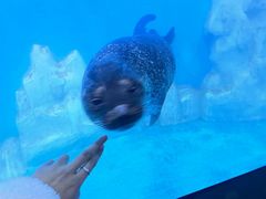 -多彩贵州城极地海洋世界