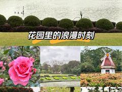 -东莞植物园