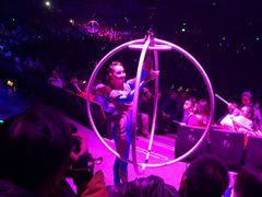 -珠海横琴长隆《卡卡虎奇遇记》