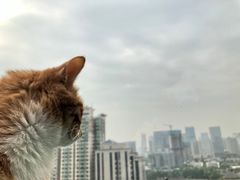 -萨芭蒂高空花园餐酒吧