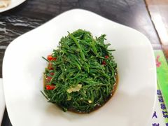 炝拌沙葱-胖妈妈餐饮(西津东路店)