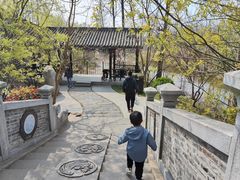 -合肥滨湖国家森林公园