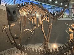 -国家自然博物馆