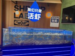 -0048鲜活香辣虾·火锅(铜陵路店)