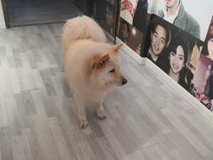 -肆兮眼镜·蔡司·徕卡战略合作店(大坪店)