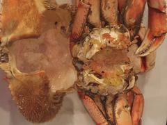 -Swiss Louis Italian & Seafood Restaurant