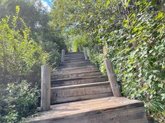 -白草畔自然风景区