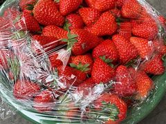 -西郊国际农产品交易中心