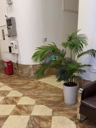 -顺德壹加壹美容医院