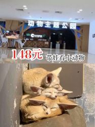 -未来动物城动物主题公园(大悦城店)