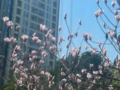 -CHEZ JASMINE 茉莉的氧气厨房