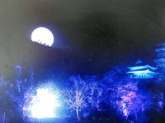 -禅宗少林·音乐大典