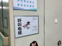 -北京观赏动物医院·24小时大型综合·猫专科·异宠专科