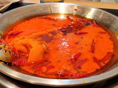-飘香火锅(玉林西路店)