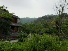 -丹樱生态园
