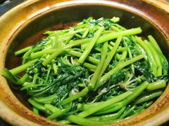 啫啫虾酱空心菜-熠盛粤味(永康路店)