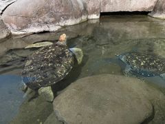 -厦门海底世界