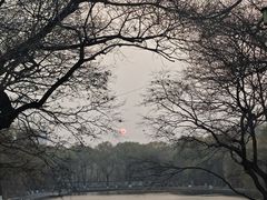 -北陵公园