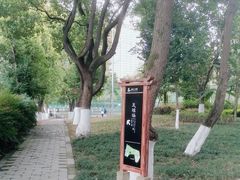 -塔子山公园