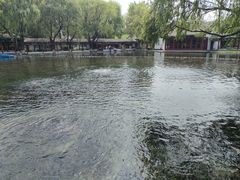 -百脉泉景区