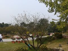 -秀丽东方