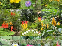 -中国科学院西双版纳热带植物园