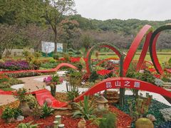 -苏州上方山国家森林公园