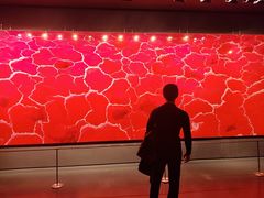 -罗红摄影艺术馆